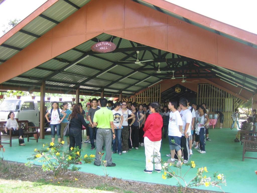 Sabah Tea Garden-Longhouses Ranau Eksteriør bilde