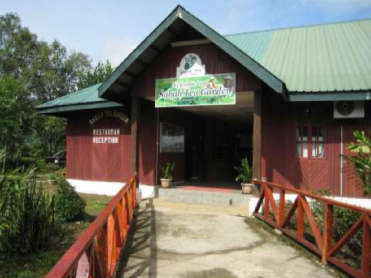 Sabah Tea Garden-Longhouses Ranau Eksteriør bilde