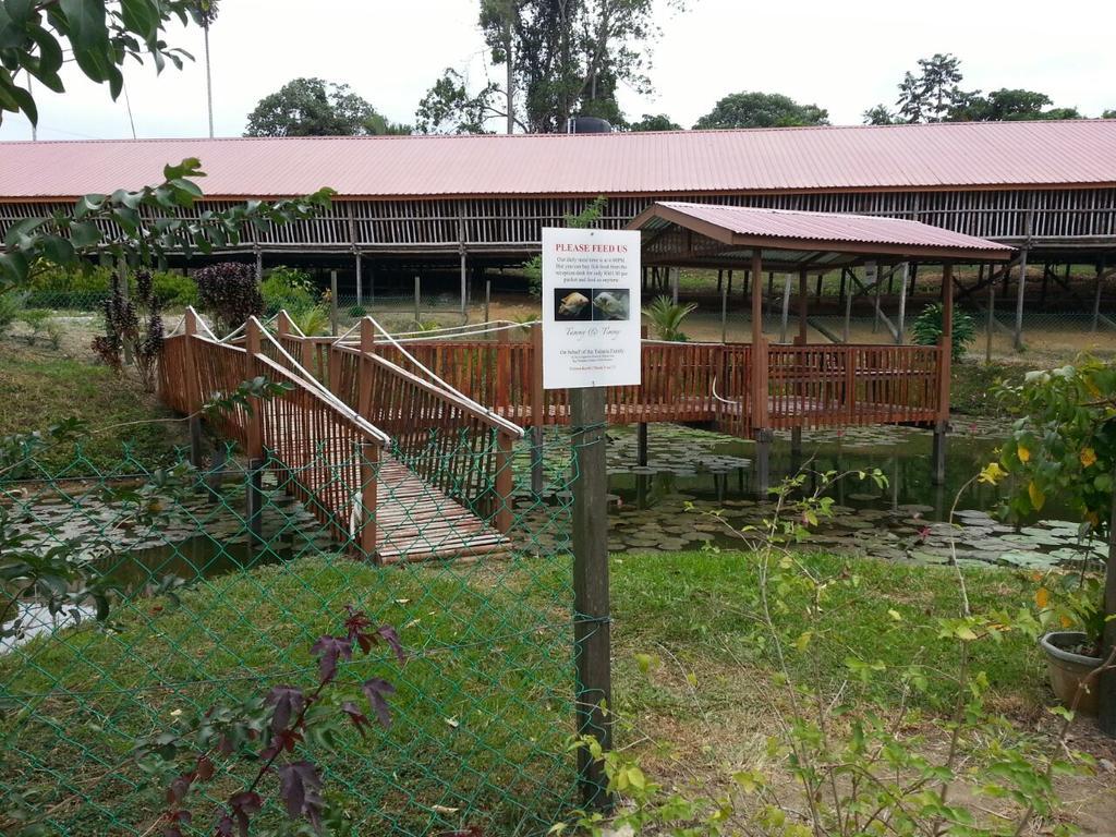 Sabah Tea Garden-Longhouses Ranau Eksteriør bilde