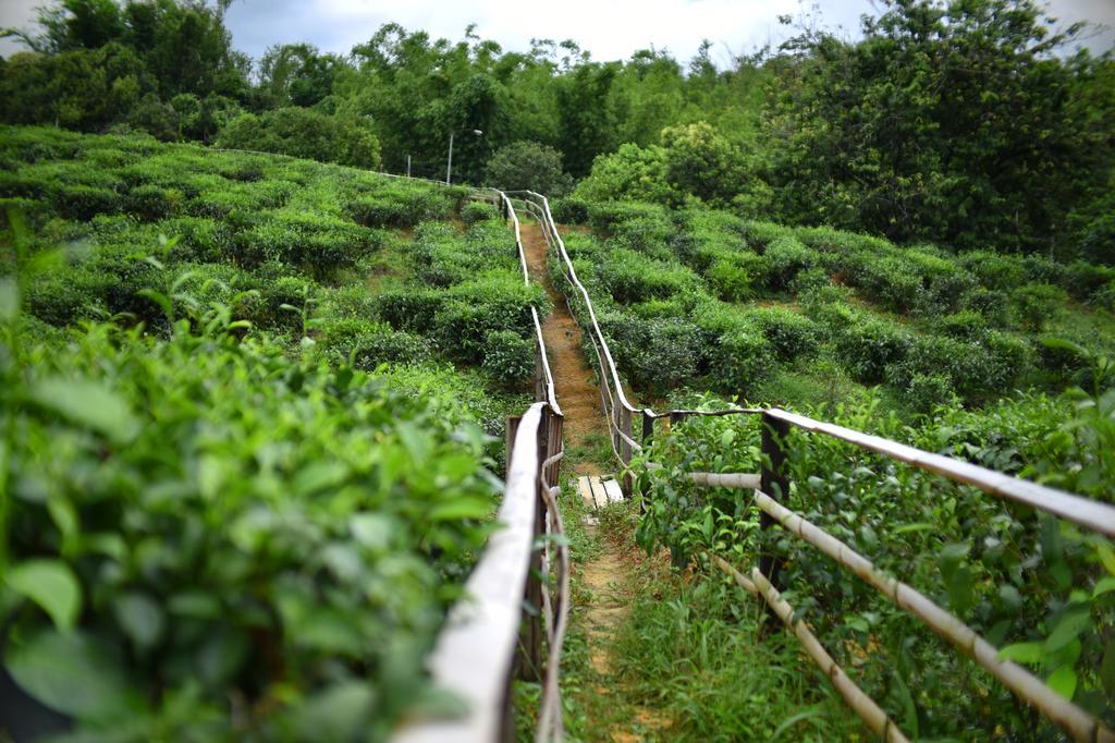 Sabah Tea Garden-Longhouses Ranau Eksteriør bilde