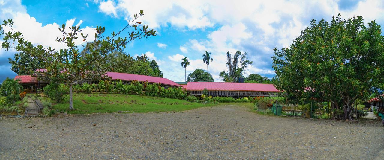 Sabah Tea Garden-Longhouses Ranau Eksteriør bilde