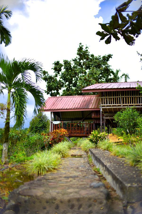 Sabah Tea Garden-Longhouses Ranau Eksteriør bilde