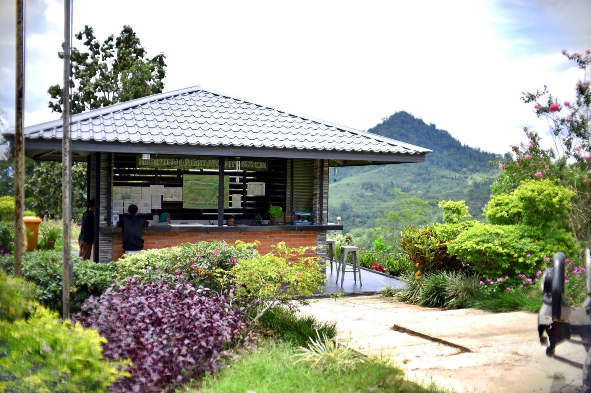 Sabah Tea Garden-Longhouses Ranau Eksteriør bilde